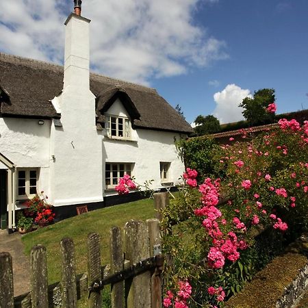Brook Farmhouse Tedburn Exterior photo